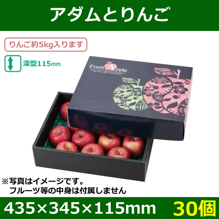 送料無料 りんご用ギフトボックス アダムとりんご 435 345 115mm 30個 段ボール箱と梱包資材のin The Box インザボックス