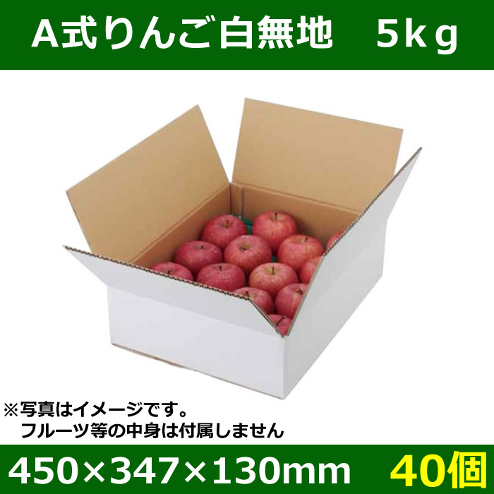 送料無料 フルーツ用外箱 宅配箱 A式りんご白無地 5kg 40個 段ボール箱と梱包資材のin The Box インザボックス