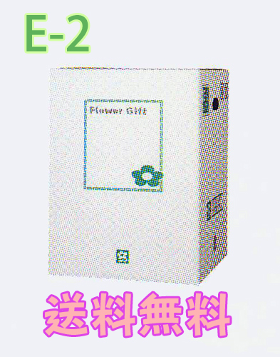 ≪送料無料≫【※代引き不可】花用ギフトケースE-2【40枚】エコノミータイプ