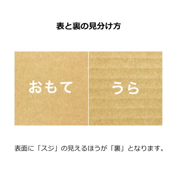 折り曲げた際、うらが内側になります