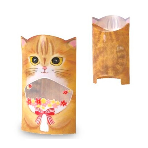 画像1: 送料無料・ガオークリアBOX ねこ 茶 90×40×105mm「100枚」