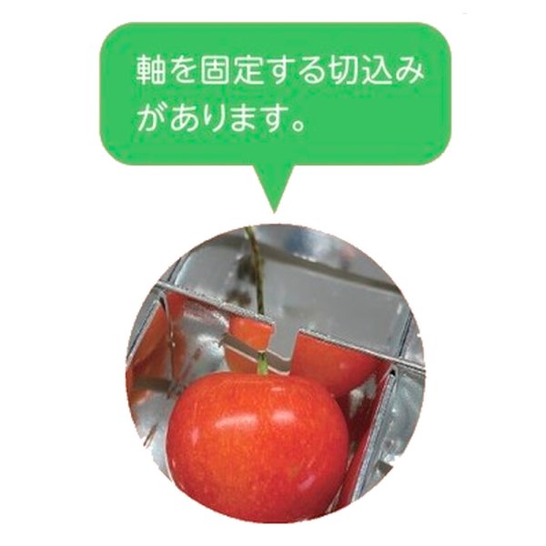 画像3: 送料無料・さくらんぼ 24H 190×125×28mm「50枚」