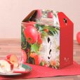 画像2: 送料無料・りんご4個手提箱 220×120×195mm「100枚」 (2)