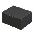 画像1: 送料無料・ゆりかーご Aタイプ2段 宅配箱 250×195×123mm「50枚」 (1)