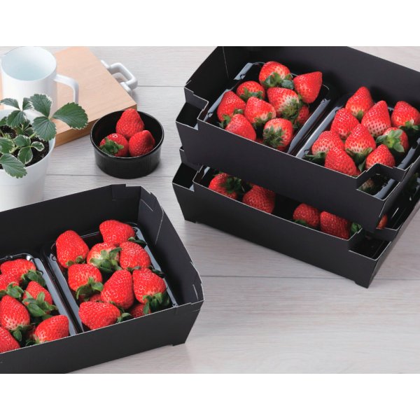 画像3: 送料無料・（フルーツ用）黒トレー 脚付き 上 260×190×80　底 218×145mm「400枚」