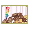 送料無料・椎茸のしおり 185×125mm「4000枚」
