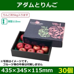 画像1: 送料無料・りんご用ギフトボックス アダムとりんご 435×345×115mm「30個」