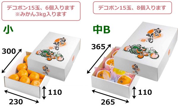 画像2: 送料無料・ギフト箱（フルーツ用）四季ノ果実 230×300×110mmほか「50枚」