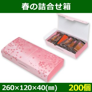 送料無料・菓子用ギフト箱 春の詰合せ箱 260×120×40(mm) 「200個」