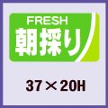 送料無料・販促シール「朝採り」37x20mm「1冊1,000枚」