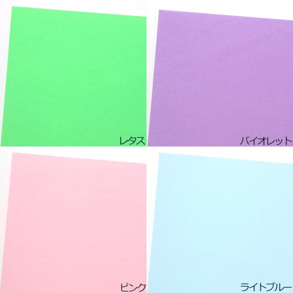 レタス(2080-002111800-002111808)バイオレット(2080-002111800-002111809)ピンク(2080-002111800-002111810)ライトブルー(2080-002111800-002111811)