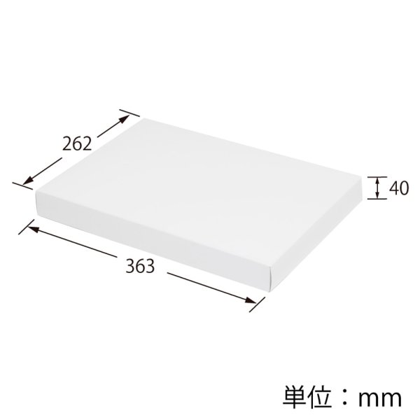 2080-h-21