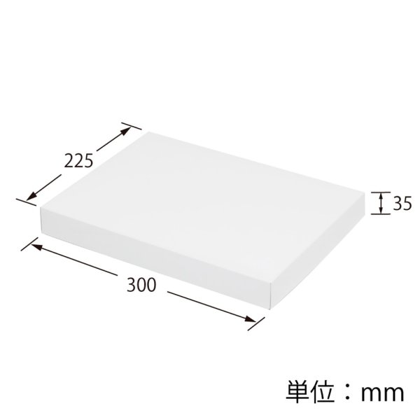 2080-h-6