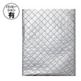 画像1: 送料無料・保冷平袋 200×275~280×375mm「500枚」全3サイズ (1)