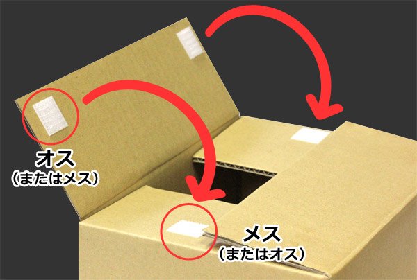 その際、「フタ」と「折込部分」の面ファスナーがオスとメスの組み合わせになるようにし、貼り合わせ位置を調整してください。(フタ側に、オスメスペアにした状態の面ファスナーを貼り、そのままフタを閉めていただくと、位置調整が簡単に行えます)