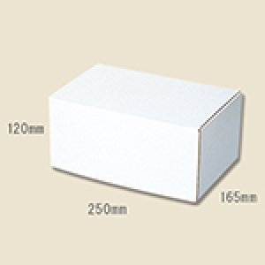 画像1: 送料無料・組立式 白ダンボール箱 165×250×120mm 「10枚から」