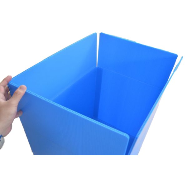 画像2: プラダンケース