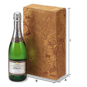 画像1: 送料無料・シャンペン2本入箱 「100箱」E段　適応瓶：約90φ×330Hまで