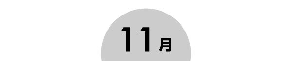 11月