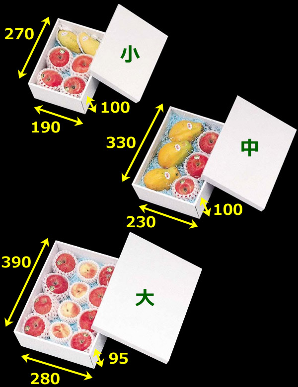 ホワイト小、中、大