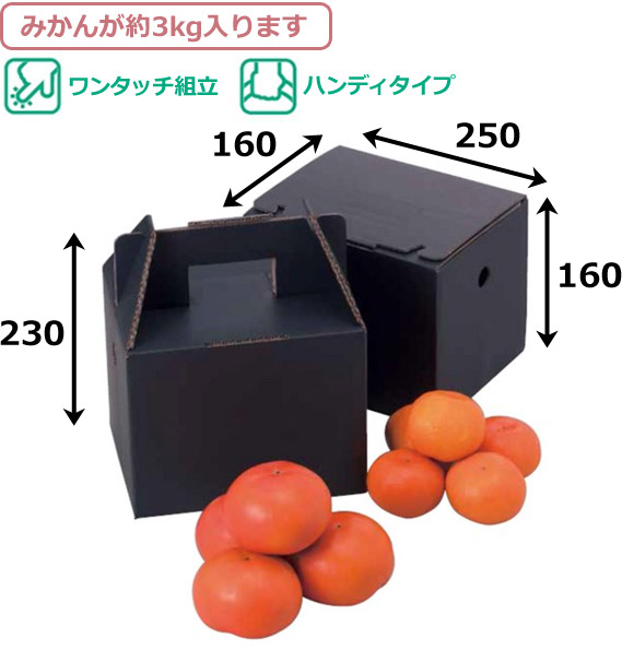 送料無料 みかん用ギフトボックス 美果 3kg 250 160 160 230 Mm 100個 段ボール箱と梱包資材のin The Box インザボックス