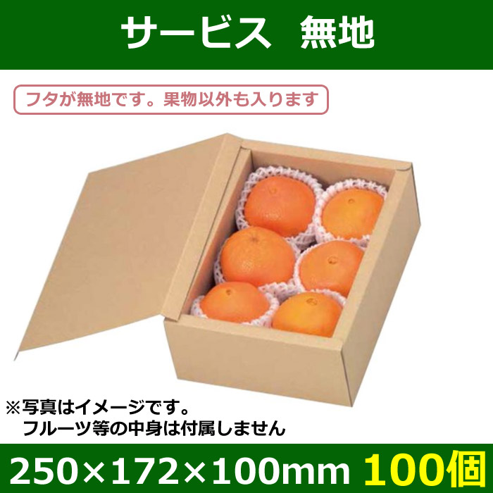 送料無料 フルーツ用ギフトボックス サービス無地 250 172 100mm 100個 段ボール箱と梱包資材のin The Box インザボックス
