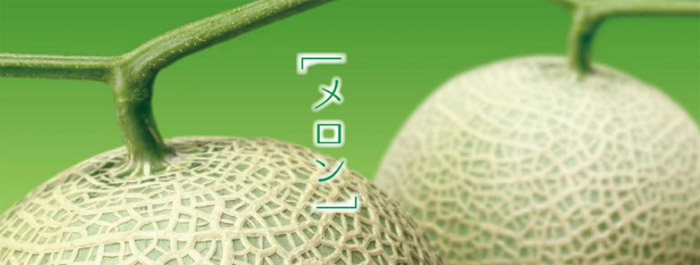 送料無料 メロン用ギフトボックス メロンフラワー 全2サイズ 100個 50個 段ボール箱と梱包資材のin The Box インザボックス 送料無料 メロン用ギフトボックス メロンフラワー 全2サイズ 100個 50個 段ボール箱と梱包資材のin The Box インザボックス