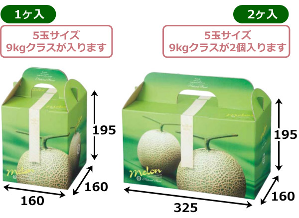 送料無料・メロン用ギフトボックス ジュエルメロン 全2サイズ「100個／50個」| 段ボール箱と梱包資材のIn The Box（インザボックス）