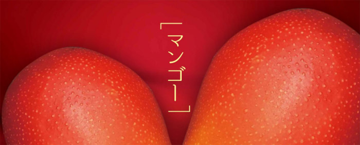 フルーツ用ギフトボックス「マンゴー」シリーズ