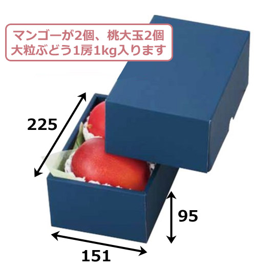 フルーツ用ギフトボックス「マンゴー」シリーズマンゴー2ケネイビー