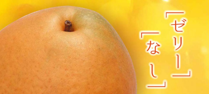 送料無料 梨用ギフトボックス ジューシーペアー 全2サイズ 30個 段ボール箱と梱包資材のin The Box インザボックス