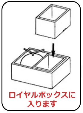 バラエティロイヤルボックスロイヤルハーフ身