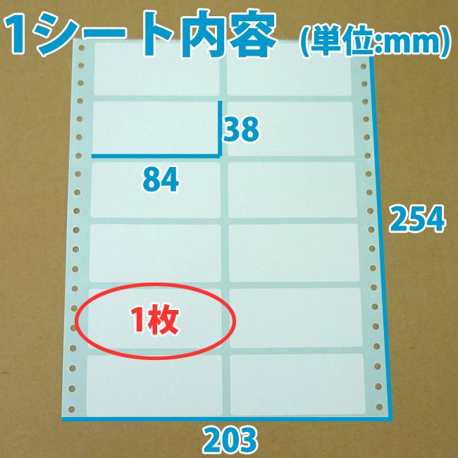 レターパック送料無料・白無地ラベルシール「50シート600枚」 | 段ボール箱と梱包資材のIn The Box（インザボックス）