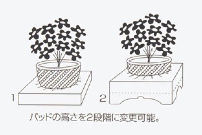 画像1: 送料無料・花用ギフトケースE-2 エコノミータイプ 300×300×400mm／500 「40枚」