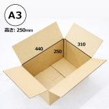 inuinuページ　A4サイズ　3点 70726f647563742f313031302d6133