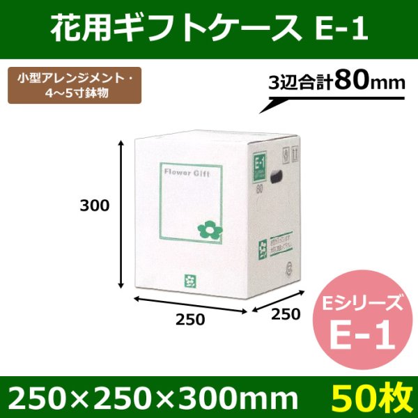 画像1: 送料無料・花用ギフトケースE-1 エコノミータイプ 250×250×300mm／380 「50枚」 (1)