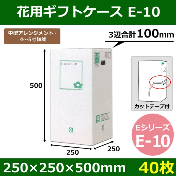 画像1: 送料無料・花用ギフトケースE-10 エコノミータイプ 250×250×500mm／580 「40枚」 (1)