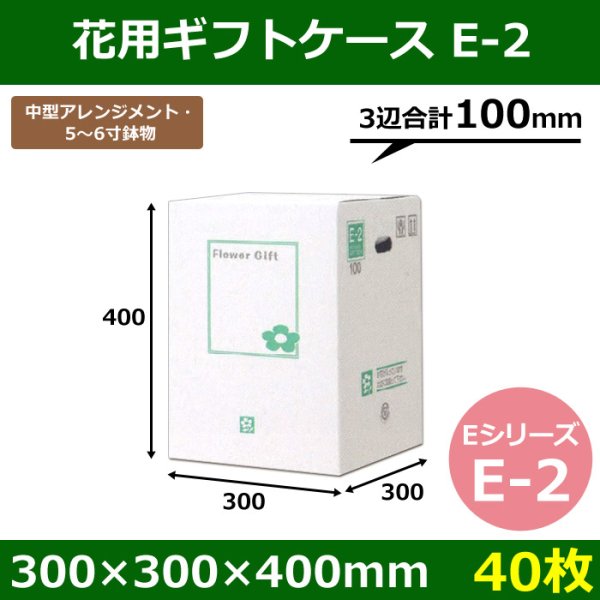 画像1: 送料無料・花用ギフトケースE-2 エコノミータイプ 300×300×400mm／500 「40枚」 (1)