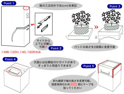 画像1: 送料無料・花用ギフトケースMB-120S カットテープ付 300×300×600mm／700 「30枚」