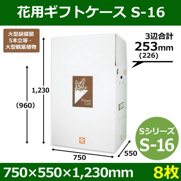 画像1: 送料無料・花用ギフトケースS-16 サイズ調節可能 750×550×1,230(960)mm 「8枚」 (1)