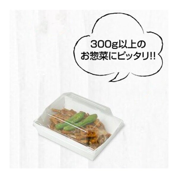 (Gトレー 4)2010-10-141b-141b /(3・4兼用 深)2010-10-141b-141h2