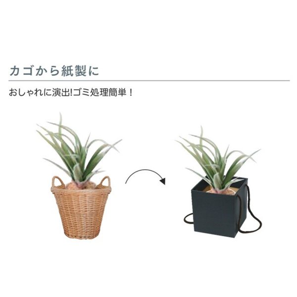 画像3: 送料無料・ギフト箱（花用）スクエアBOX 110×110×115mmほか「100枚」 (3)