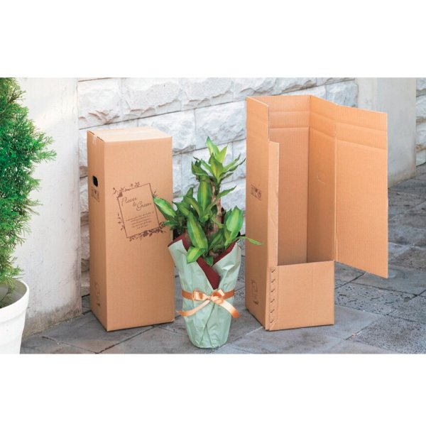 画像2: 送料無料・宅配箱(花用)フラワー&グリーン 横開きタイプ 120-155 300×300×600mmほか「10枚から」 (2)