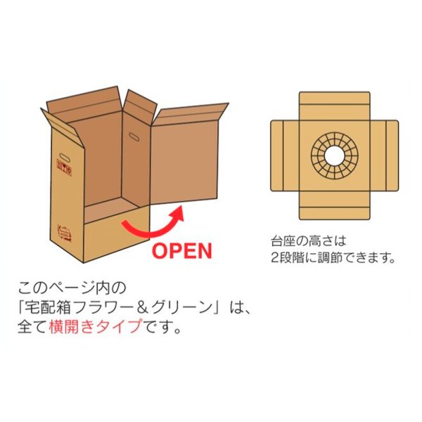 画像3: 送料無料・宅配箱(花用)フラワー&グリーン 横開きタイプ 120-155 300×300×600mmほか「10枚から」 (3)