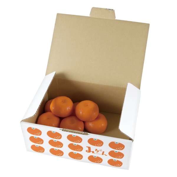 画像2: 送料無料・ギフト箱 イラストみかん 3kg 300×200×110mm「80枚」 (2)