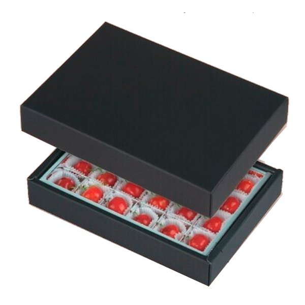 画像1: 送料無料・さくらんぼ 24H 190×125×28mm「50枚」 (1)