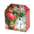 画像1: 送料無料・りんご4個手提箱 220×120×195mm「100枚」 (1)