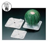 楽天市場】【予約】 でんすけすいか （秀品）L-2L/3L-4L/5L 1玉