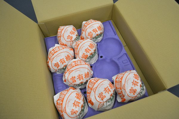 画像3: 送料無料・副資材 柿用パック 8穴~24穴 306×385mm「150枚」 (3)