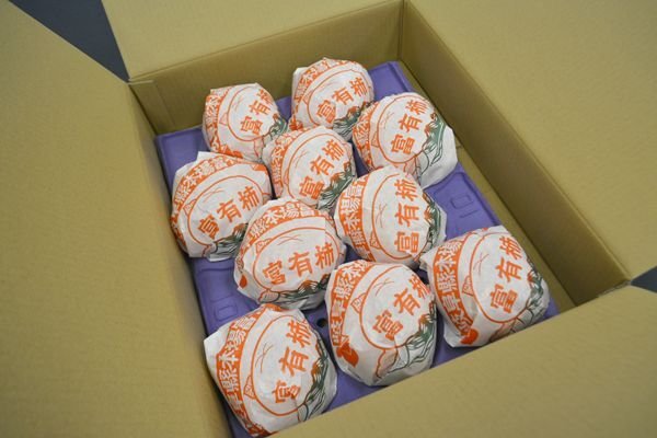 画像4: 送料無料・包装紙(副資材)岐阜県 富有柿包み紙 260×270mm「5,000枚」 (4)